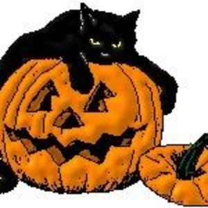 Meet your Posher, Anne